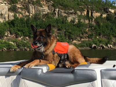 Raychl's Pics And Videos